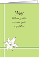 Happy May Birthday Godfather White Lily Flower Drawing card