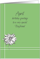 Happy April Birthday Boyfriend White Daisy Flower card