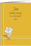 Happy June Birthday...