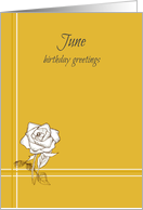 Happy June Birthday White Rose Flower Yellow card