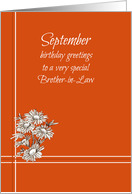 Happy September Birthday Brother-in-Law White Aster Flower card