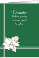 Happy December Birthday Brother White Poinsettia Flower card