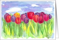 Tulip Flower Field Watercolor Painting Blank card