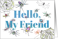 Hello My Friend Spiders Bugs Insects card