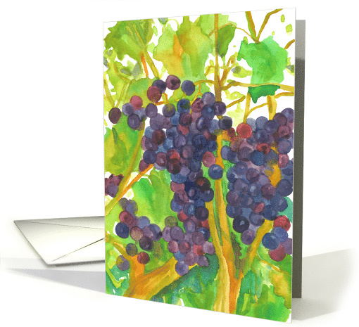 Grapes on the Vine Watercolor Painting Hello card (955863)