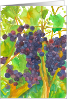 Grapes on the Vine Watercolor Painting Hello card