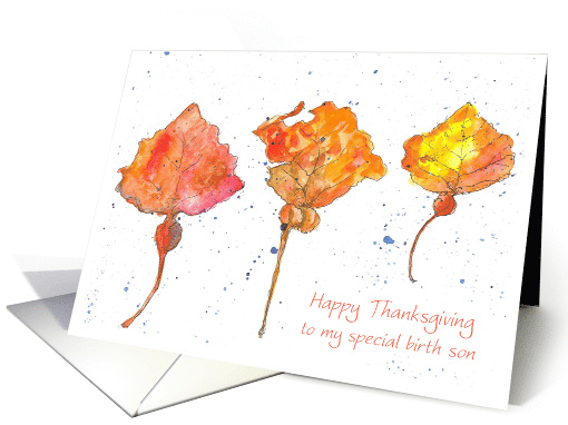 Happy Thanksgiving Birth Son Autumn Leaves Watercolor Spatter card