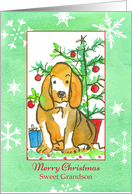 Merry Christmas Sweet Grandson Hound Dog card