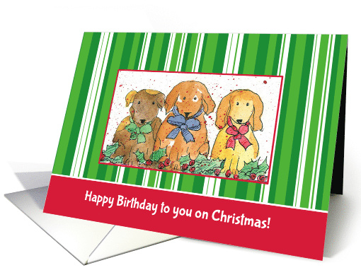 Happy Birthday on Christmas Holiday Dogs card (990799)