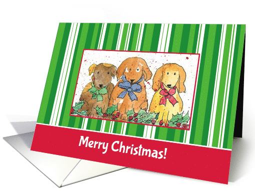 Merry Christmas Holiday Dogs card (990801)