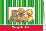Merry Christmas Holiday Dogs card