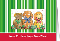 Merry Christmas Sweet Niece Dogs card