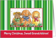Merry Christmas Sweet Grandchildren Dogs card