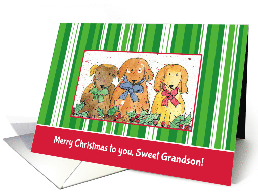 Merry Christmas To You Sweet Grandson Dogs card (990823)