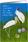 Easter Wood Storks, Easter Eggs, Humorous card