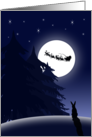 Santa and His Sleigh, Reindeer, Starry Night Sky, Bunny card