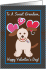 Happy Valentine’s Day To Grandson, Brown, Puppy Dog, Polka Dots card