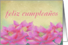 Spanish Happy Birthday, Feliz Cumpleanos, Pink Lotus Flowers card