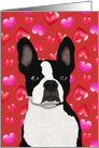 Boston Terrier Dog, Look of Love for Valentine’s Day, Faux Felt card