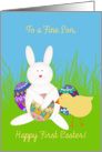 First Easter for Son, Bunny, Chick, Decorated Eggs card