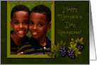 Happy Mother’s Day Grandma Purple Grapes Photo Card