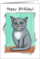 Happy Birthday Smiling Gray Cat Modern Folk Art card