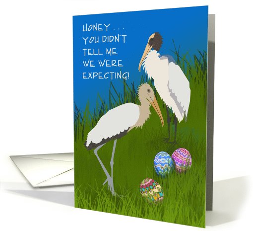 Easter Wood Storks, Easter Eggs, Humorous card (1058987)