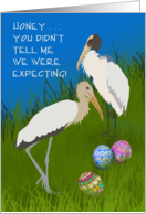 Easter Wood Storks, Easter Eggs, Humorous card
