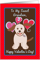 Happy Valentine’s Day To My Grandson, Brown Puppy Dog, Polka Dots card