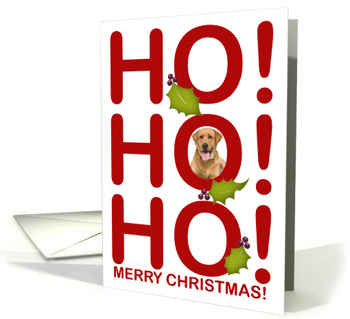 HO! HO! HO! Merry Christmas! Red Letters with Green Holly Photo card