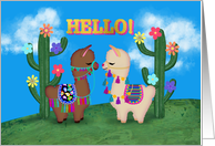 Hello! Two Cute Llamas Thinking of You Any Occasion card