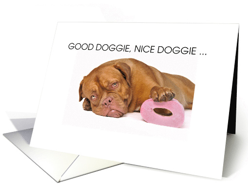 Good Doggie, Nice Doggie Toilet Paper Hoarder card (1609272)