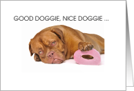 Good Doggie, Nice Doggie Toilet Paper Hoarder card