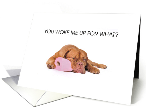 Dog Sleeping on Roll of Toilet Paper Humor card (1609280)