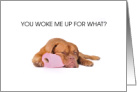 Dog Sleeping on Roll of Toilet Paper Humor card