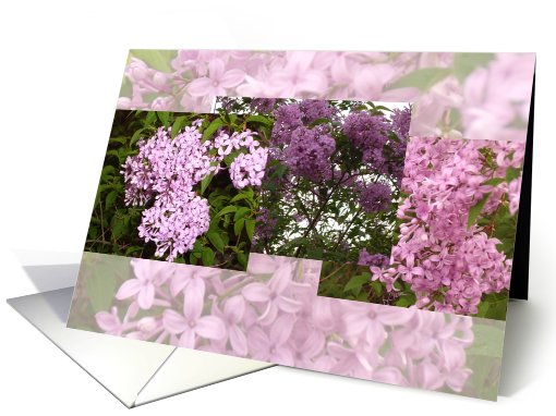 Floral Collage, Lilacs. Blank Note card (655247)