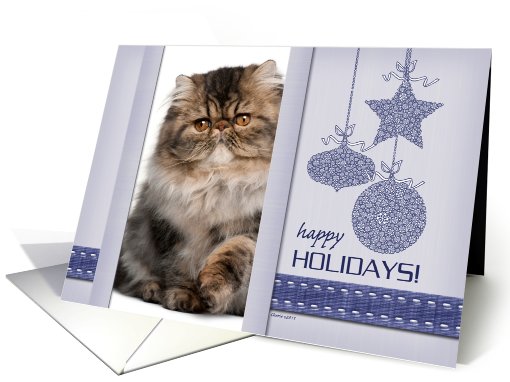 Happy Holidays Ornaments Photo Card You Customize card (851056)