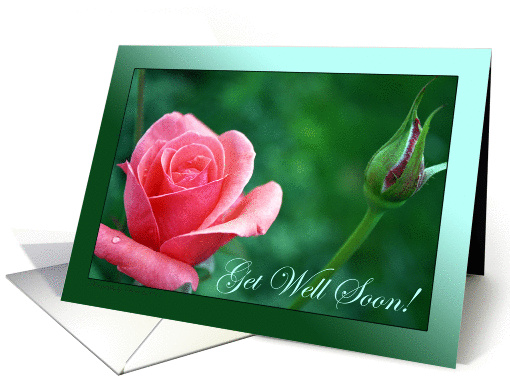 Get Well Soon! Coral Rose Photograph, Floral Photography card (863312)