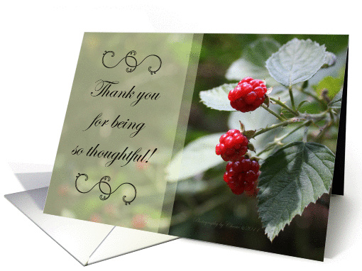 Thank You For Being So Thoughtful - Red Berries, Nature... (863484)