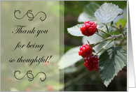 Thank You For Being So Thoughtful - Red Berries, Nature Photography card