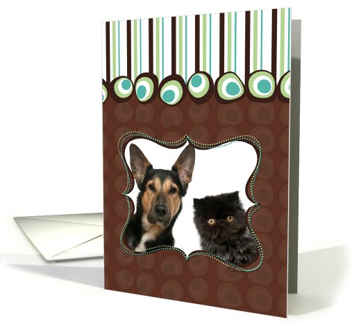 Aqua and Chocolate, Any Occasion, Blank Inside Note Card - Photo card