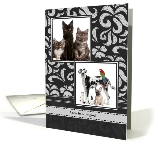 Black and Gray Flourishes, Any Occasion, Blank Inside, Photo card