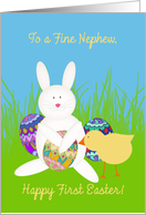 First Easter for Nephew, Bunny, Chick and Decorated Eggs card