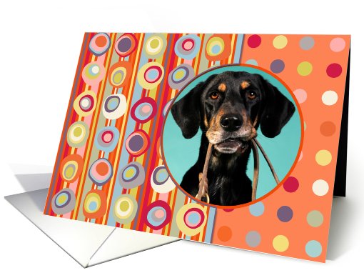 Any Occasion Photo Card, Blank Inside, Orange Mod Dots and... (913002)