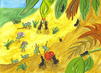Ants gathering food...