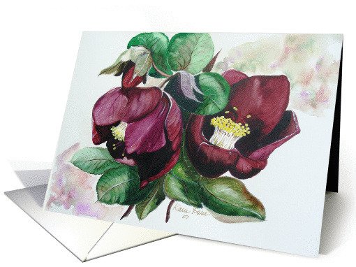 Red Helleborus card (75100)