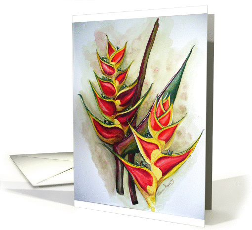 Heliconia Tropicana card (75362)