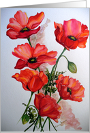 English Field Poppies card