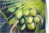 Green Coconuts card