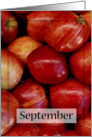 Blank September Apples card